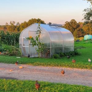 Hobby Greenhouse's For Sale