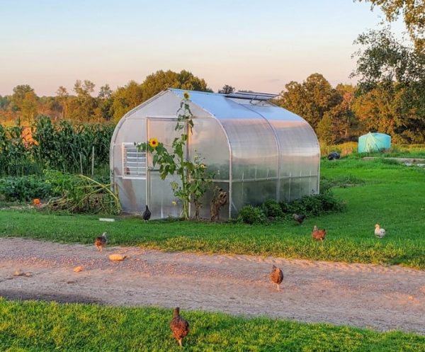 Hobby Greenhouse's For Sale