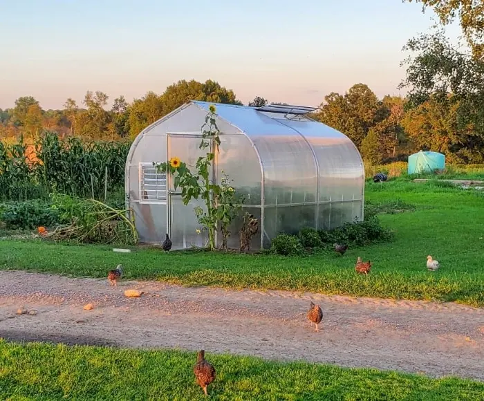 greenhouse with automatic solar univent