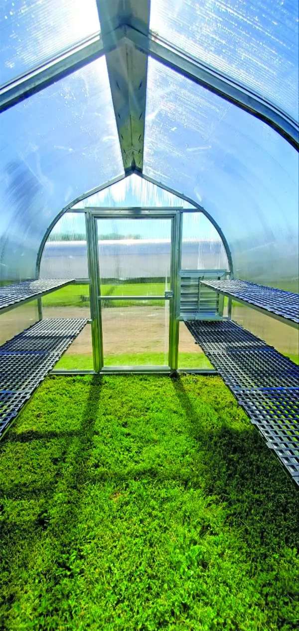 Building Side Greenhouse's For Sale - Image 3