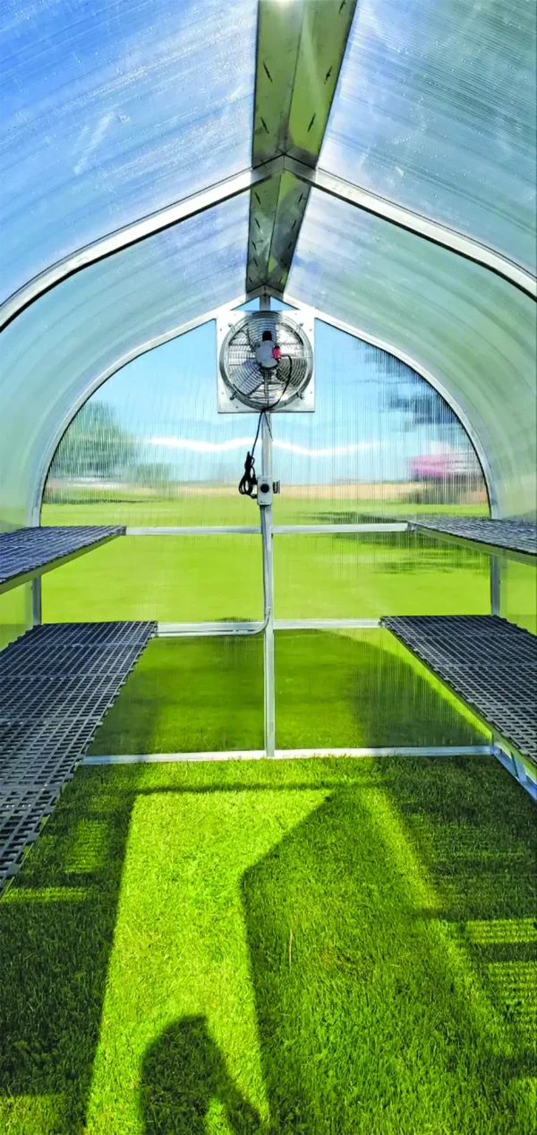Building Side Greenhouse's For Sale - Image 2