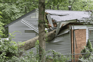 Factors to Consider When Choosing a Shed Roof