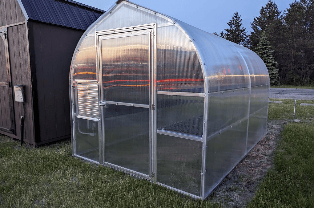 Greenhouse Sizes: Standard Dimensions and Size Guide